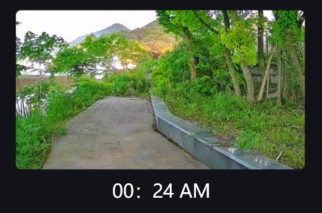 الرؤية في الظلام: دليل بسيط لكاميرات الضوء الأسود الأمنية للرؤية الليلية